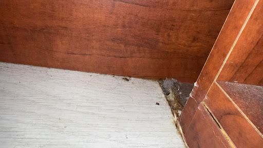 All Photos for Surplus Public Adjusters in Miami-Dade County, FL