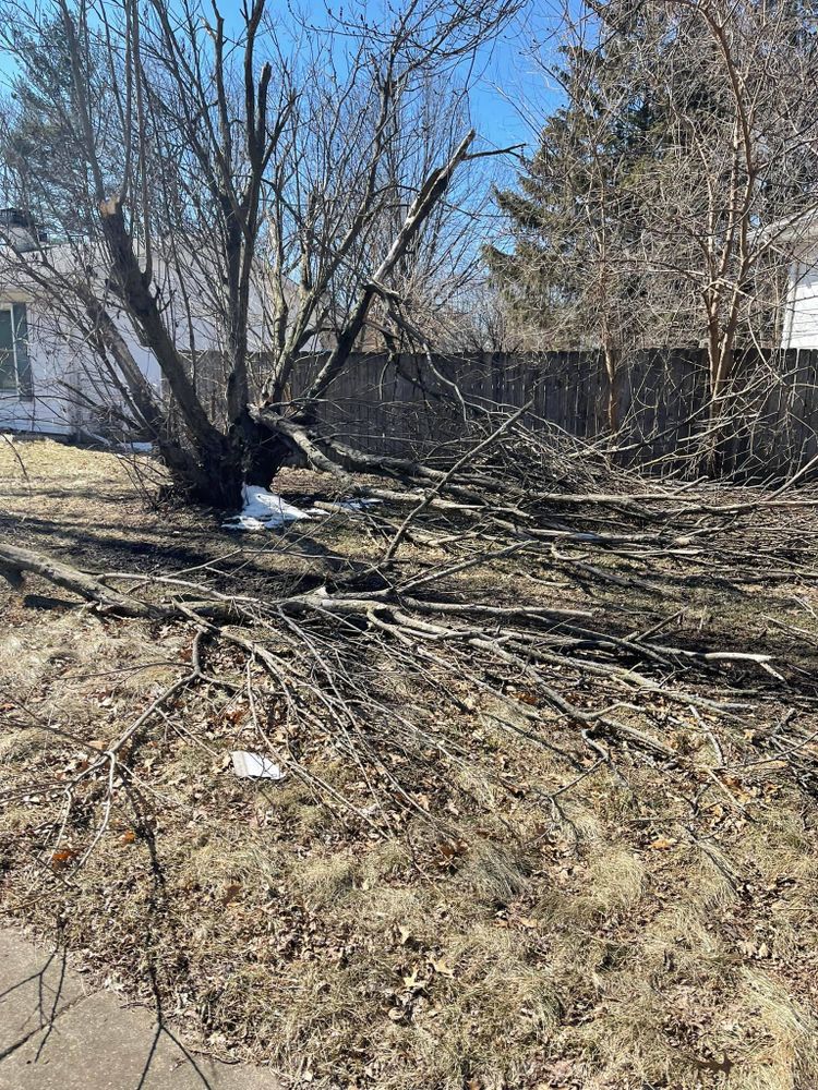 Our Fall and Spring Clean Up service includes raking leaves, removing debris, trimming bushes, and preparing your lawn for the changing seasons to maintain a beautiful landscape year-round. for Henry's Lawn Care in Rockford, IL