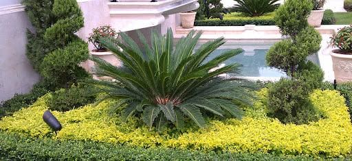 All Photos for EAH Landscaping Services in Germantown, MD