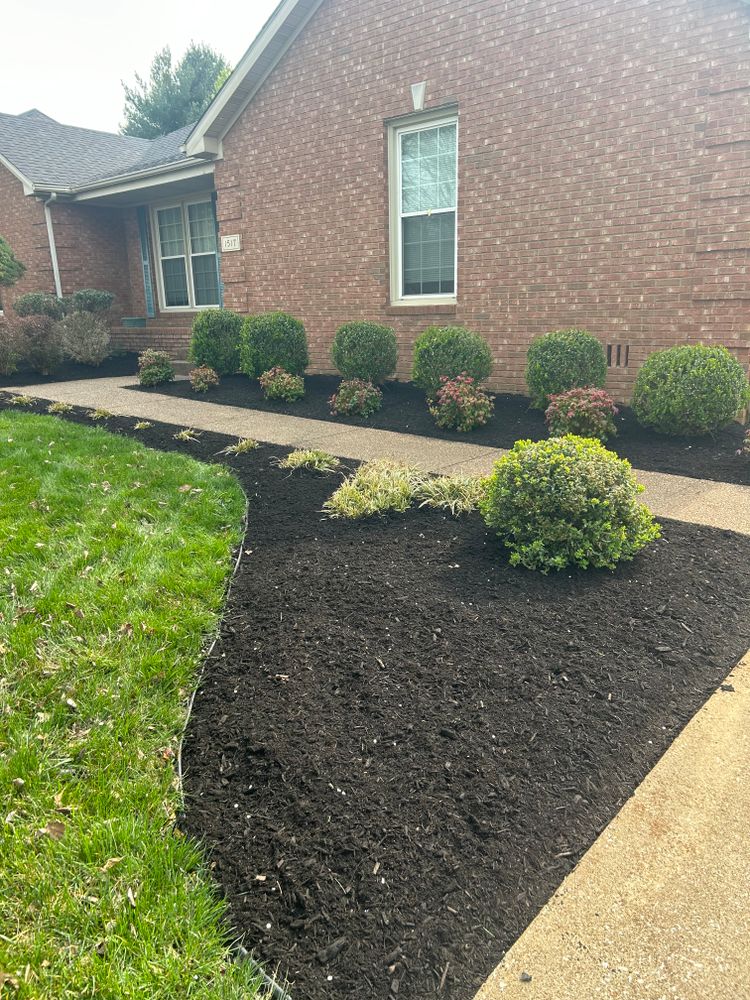 All Photos for Optimum Tree Service And Landscaping in Bowling Green, KY