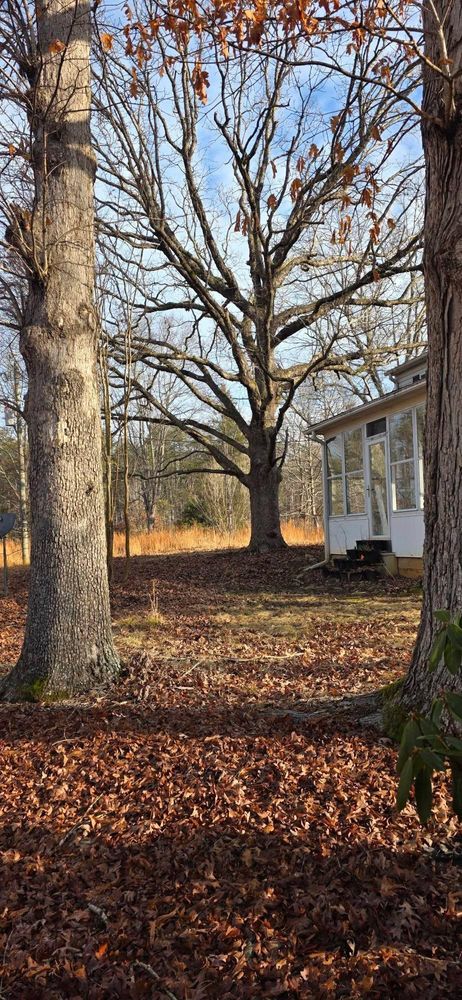 All Photos for Hamlett Tree Service LLC in Clover, VA