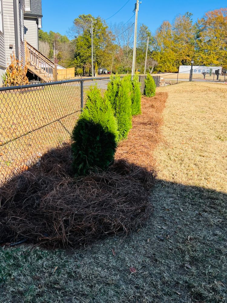 All Photos for LC Lawn Care & Landscaping in Canon, GA