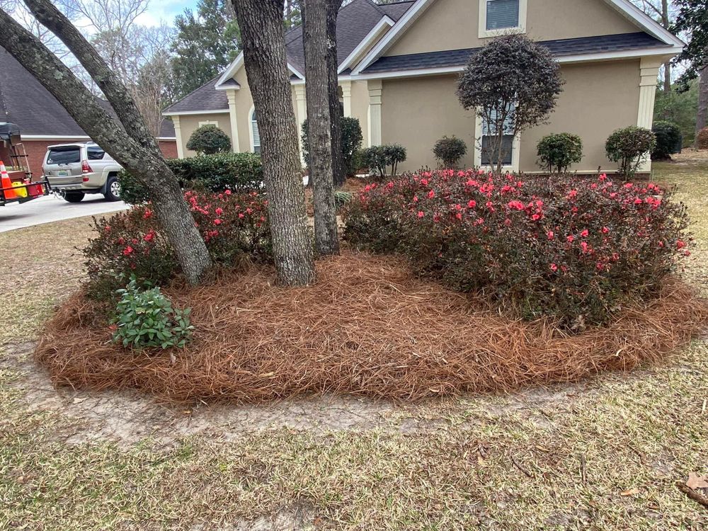 All Photos for All-Star Lawn Care & Soft Washing in Mobile, AL