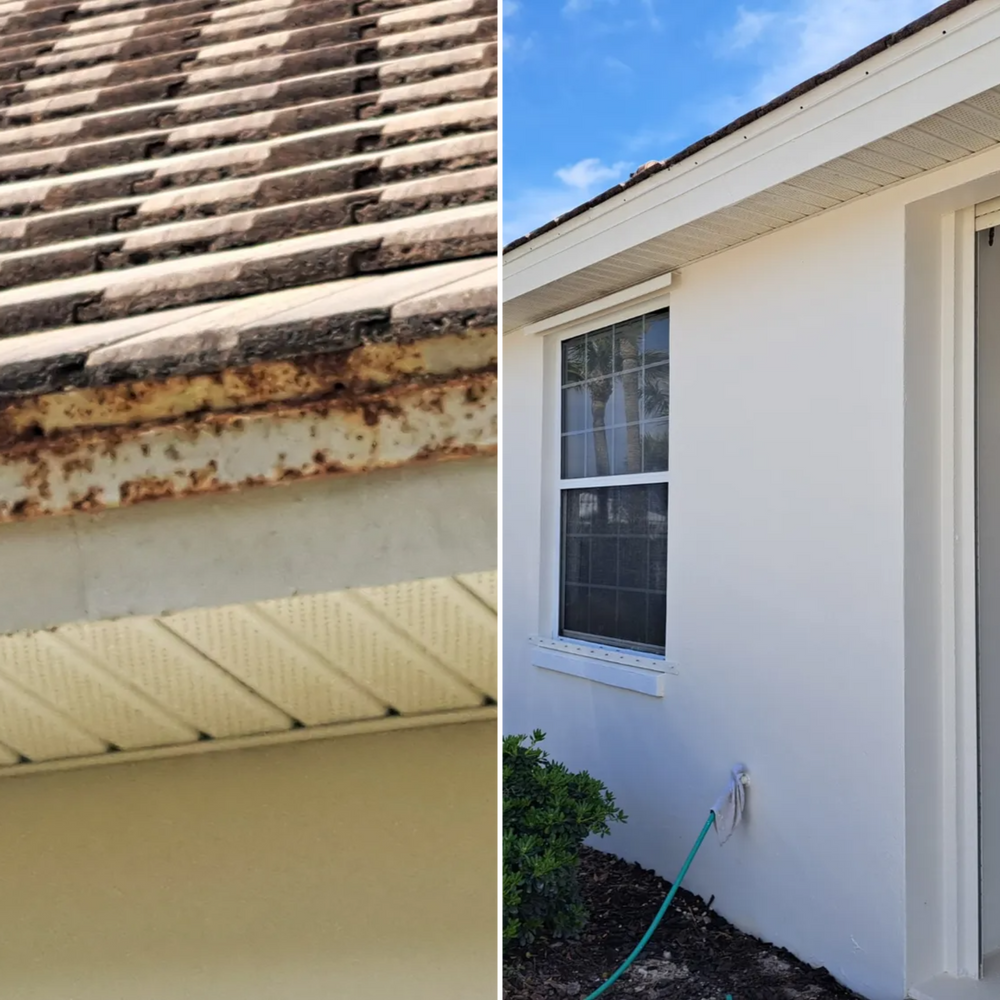 All Photos for Red Knight Painting in Daytona Beach, FL