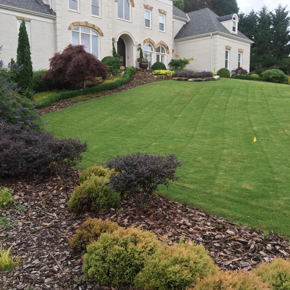 Our Lawn Aeration service enhances your lawn's health by perforating the soil to improve air, water, and nutrient absorption, resulting in stronger roots and a lush, greener yard all season long. for Bega Landscape Services in Atlanta, Georgia
