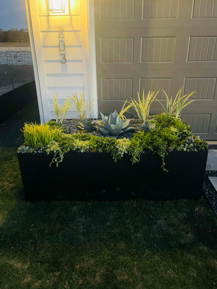 All Photos for Chavira Landscape & Irrigation in Austin, TX