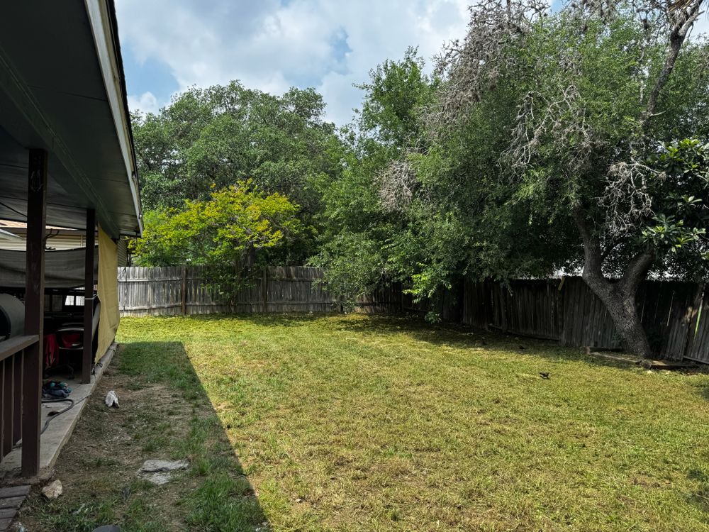 Lawn & Landscaping for Exellent lawn services in San Antonio, TX