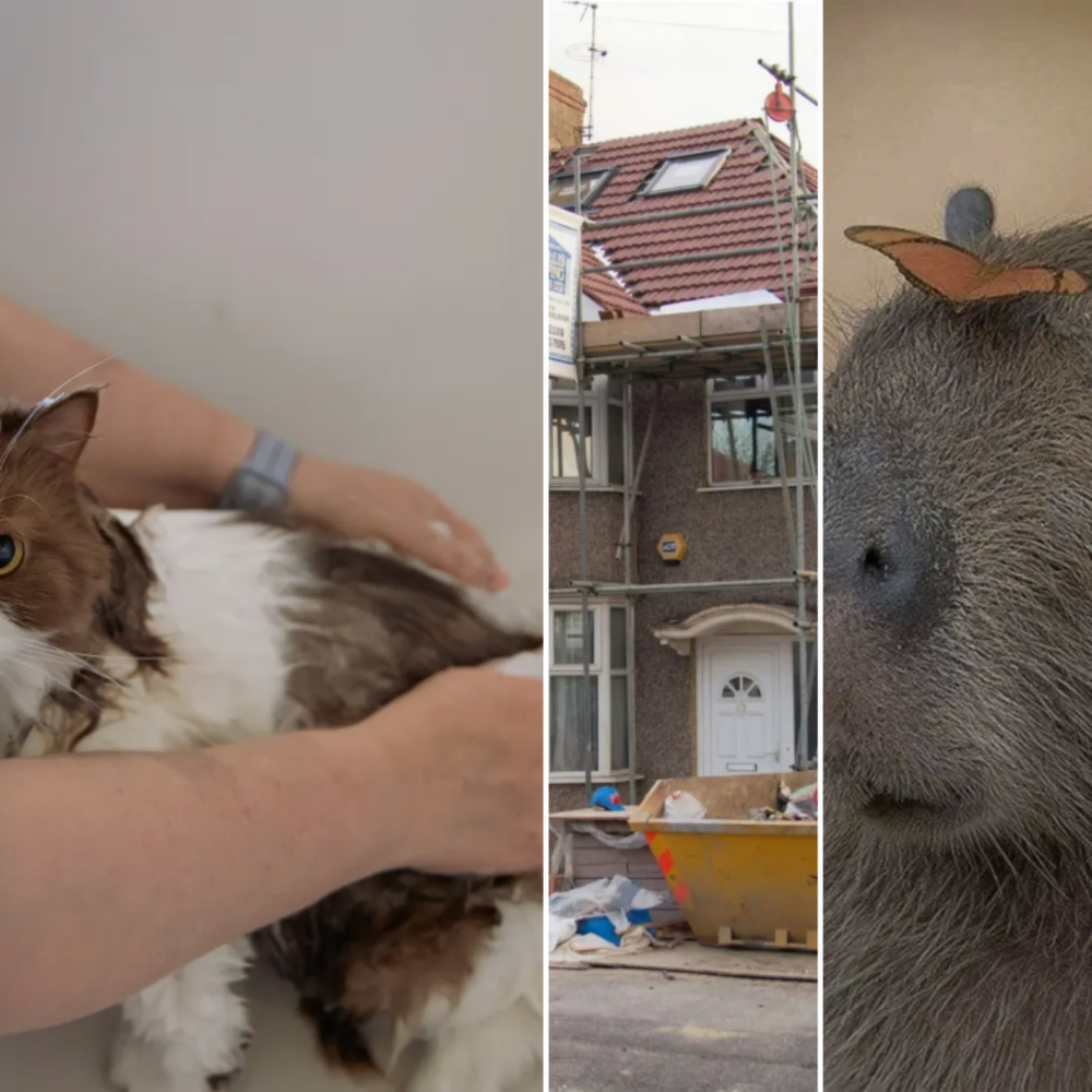 All Photos for Down Dog Yoga in Boston, MA