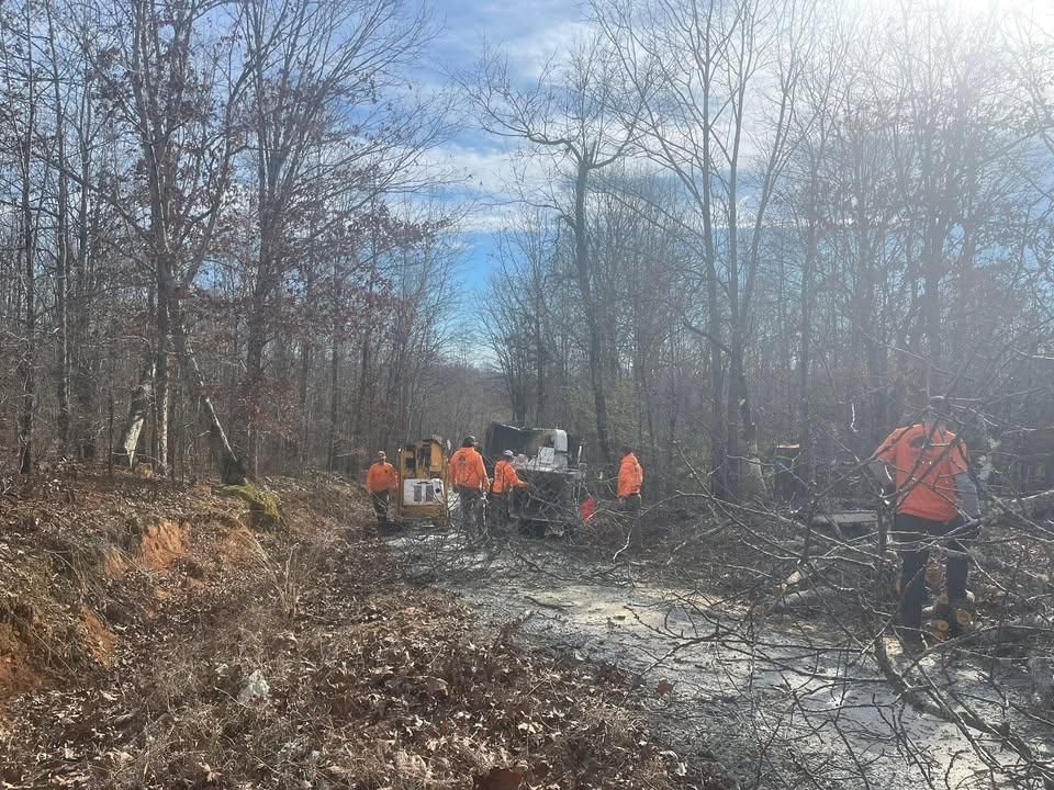 All Photos for Ross Family Tree Service LLC  in Hohenwald, TN