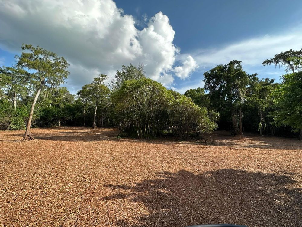 All Photos for McLeran in Naples, FL