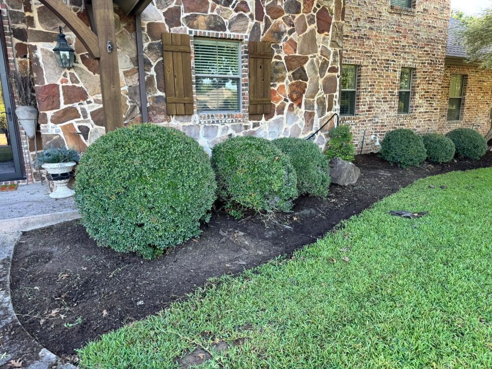 All Photos for Year Round Trees & Concrete Inc. in Fort Worth, TX