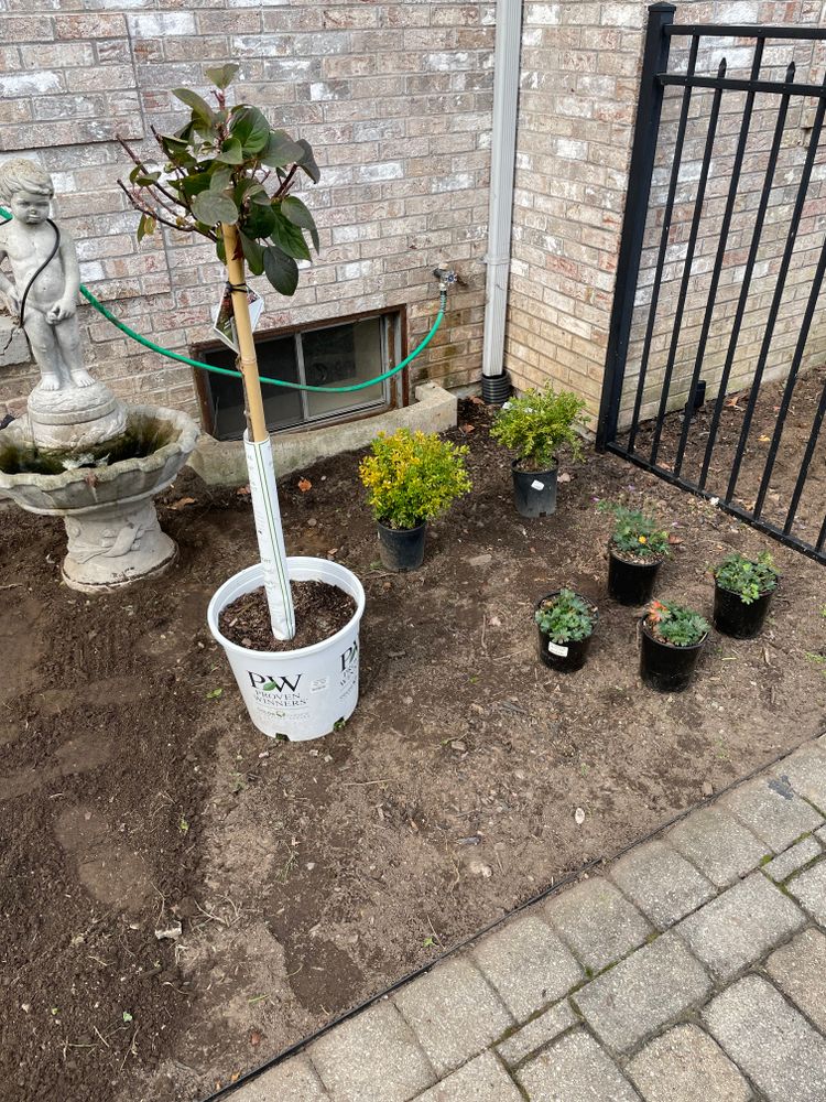 All Photos for Adams Landscaping in Springfield, MA