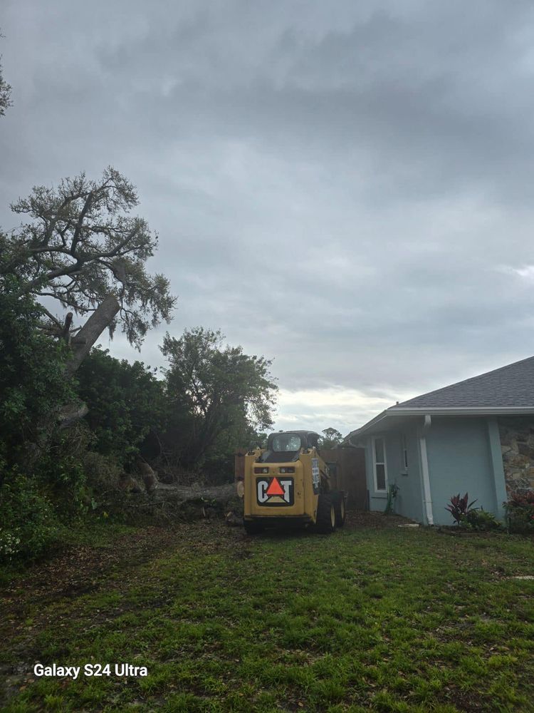 All Photos for Nick of Time Tree Service in North Port, FL