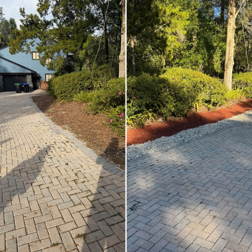 All Photos for Amerigrown Tree And Lawn in Apopka, FL