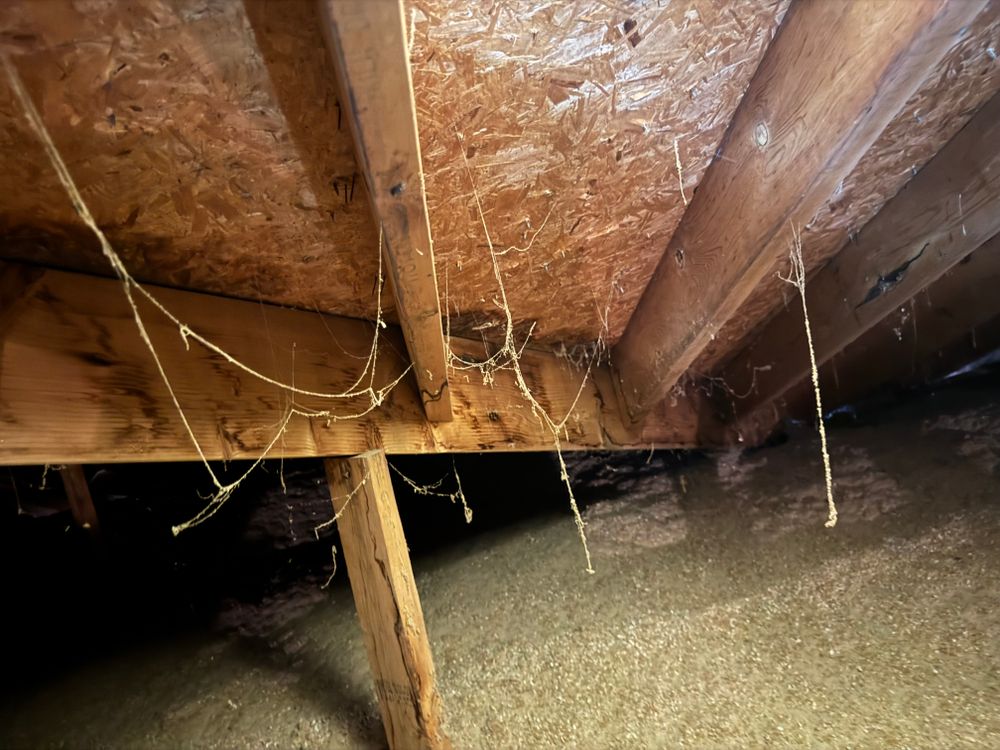 All Photos for FNS Exterior Consulting LLC, Powered By Live OAK in Cumming, GA