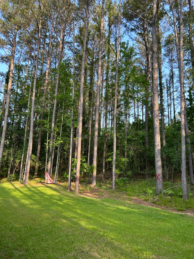 All Photos for Broadway & McMullen Construction in Hattiesburg, MS