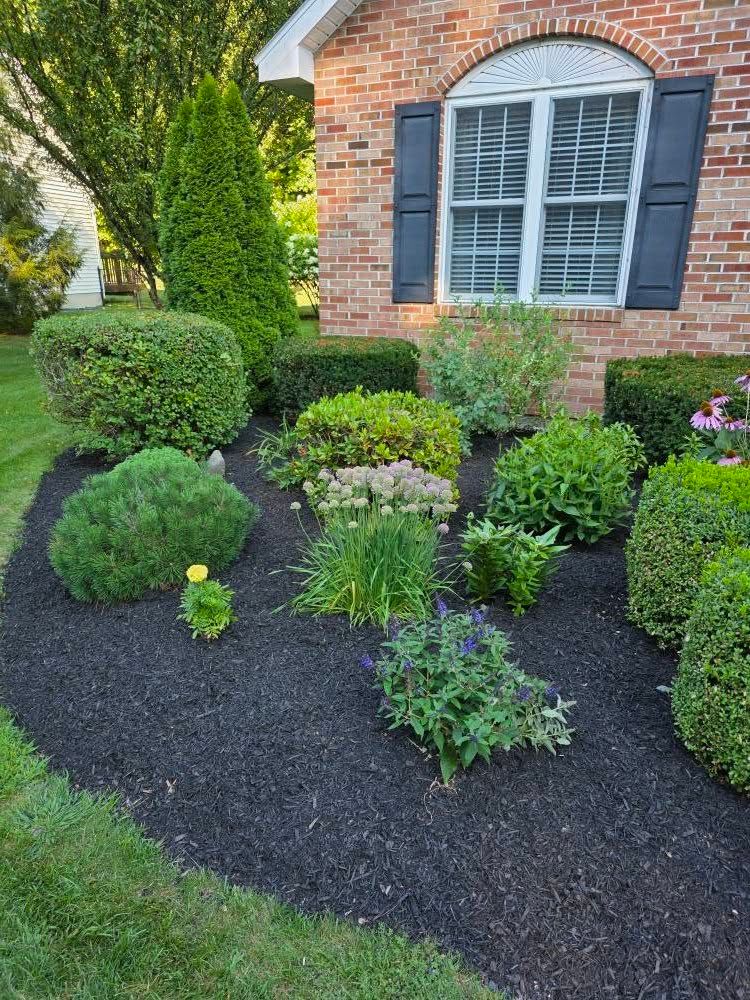 All Photos for Sweet Scapes in Ballston Spa, NY