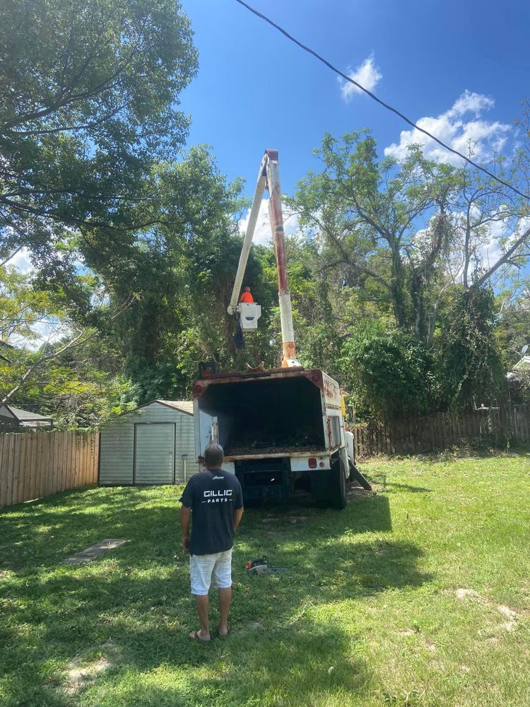 All Photos for Efficient and Reliable Tree Service in Lake Wales, FL