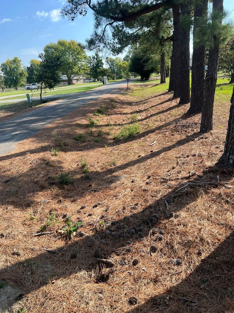 Landscaping  for Zac’s Lawn and Landscaping in Fort Smith, AR