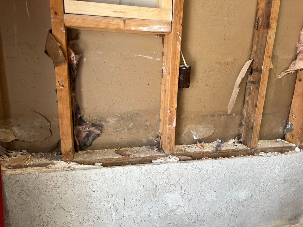 Mold Remediation for N&D Restoration Services When Disaster Attacks, We Come In in Cape Coral,  FL