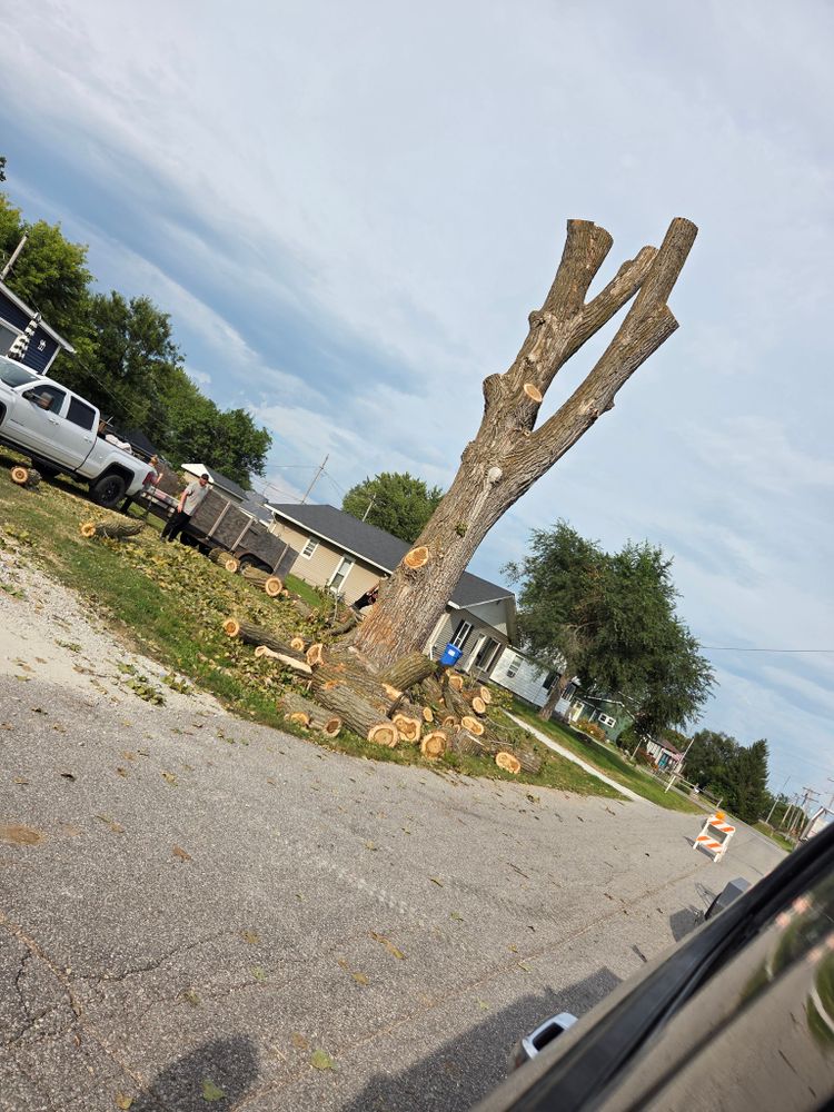 All Photos for Lawn Ranger Yard And Tree Service LLC in Ottumwa, IA