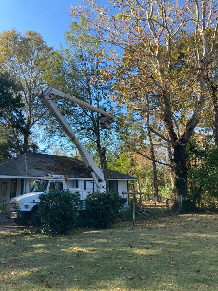 The Tree Surgeon team in Carthage, TX - people or person