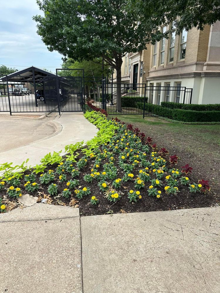 Seasonal color changes for Guerrero's Landscape in Fort Worth,  TX