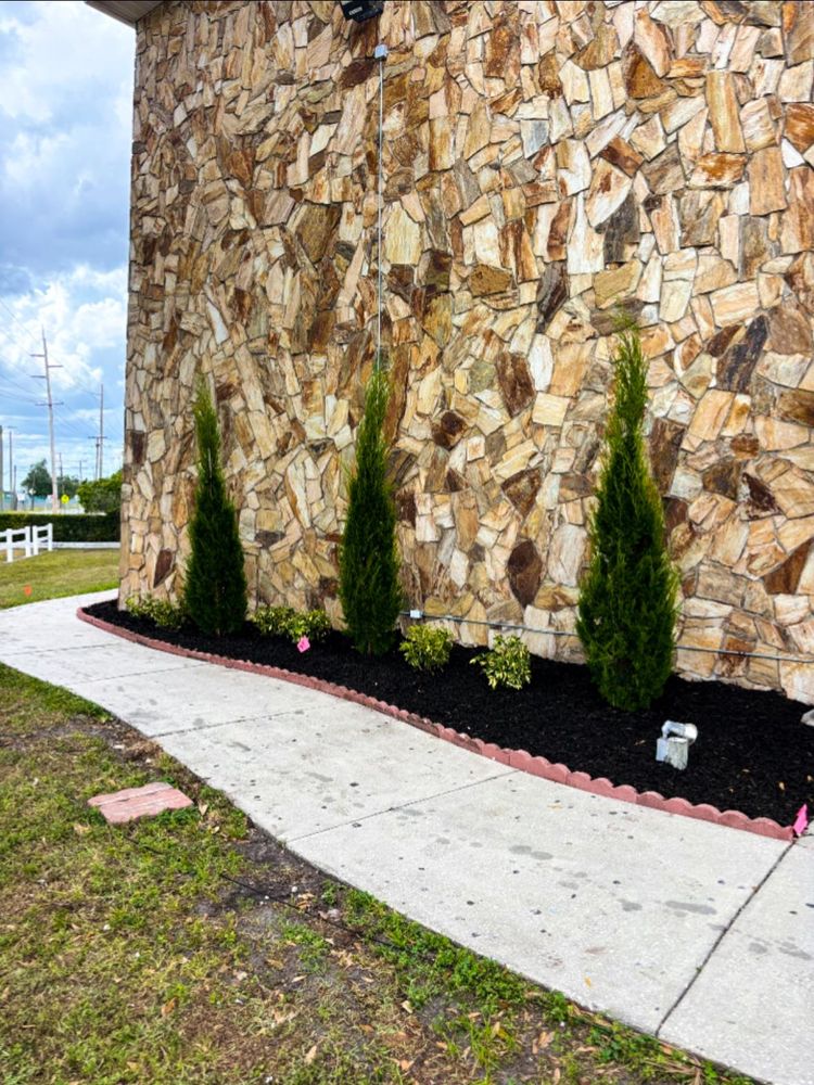 All Photos for MJK Landscaping LLC in Wesley Chapel, FL