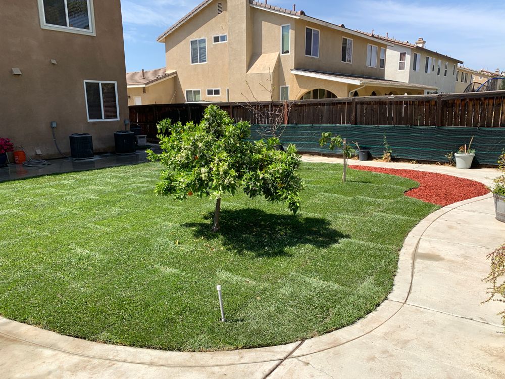 Sod Installations for Aidan Jade Landscaping in Riverside County, CA