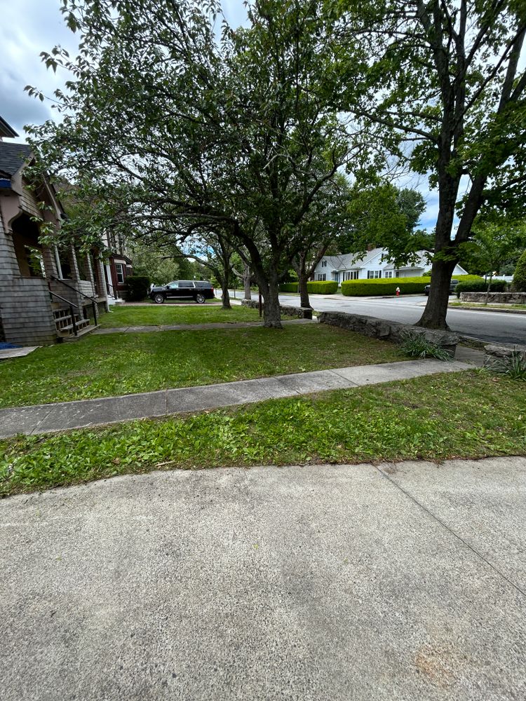 All Photos for Lucas Property Maintenance LLC in New Bedford, MA