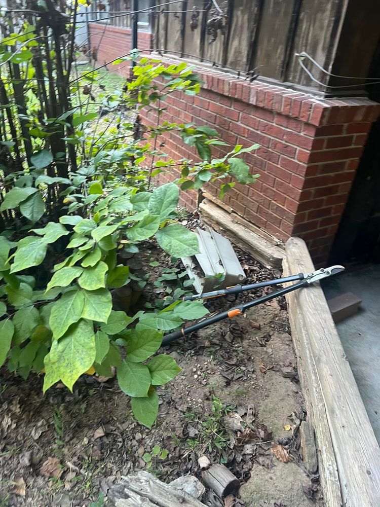 All Photos for Williams Brothers Landscaping & Construction in Atlanta, GA