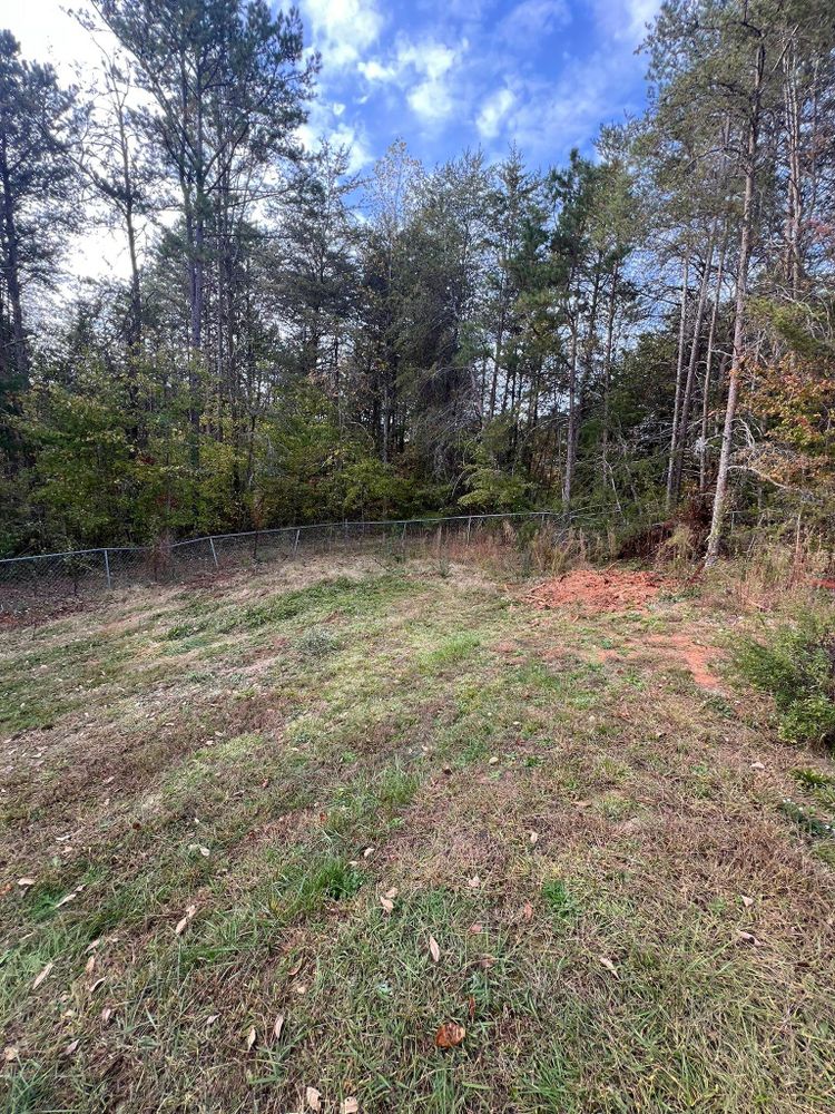 All Photos for Brooks Tree Service, LLC in Casar, NC