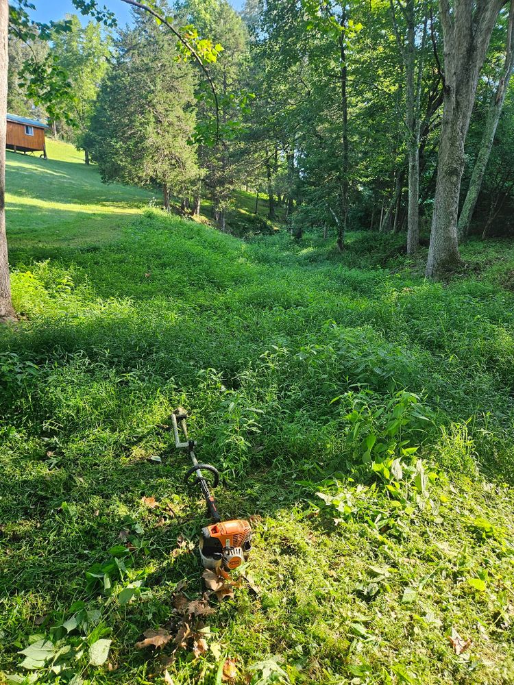Lawn Care for Browns Grounds in Culpeper, VA