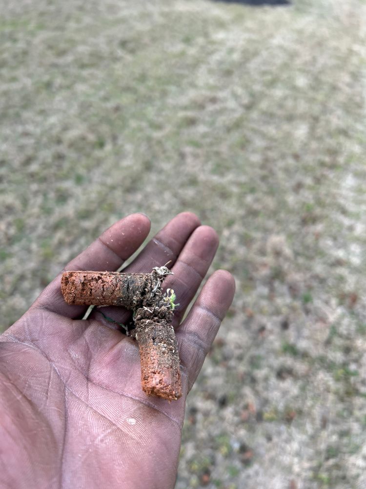 Our Aeration service helps improve your lawn's health and appearance by allowing air, water, and nutrients to reach the roots more effectively for lusher grass growth. for Prime Lawn LLC in Conyers, GA