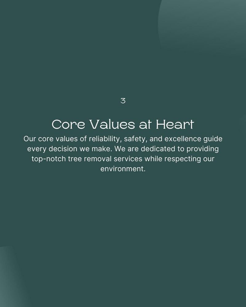 All Photos for Oakwood Tree Removal LLC in Oak Creek,  WI