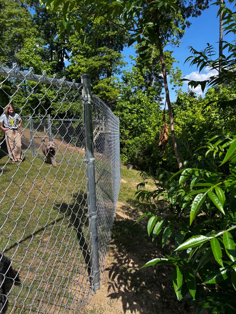 All Photos for Alpine Fence in Dahlonega, GA