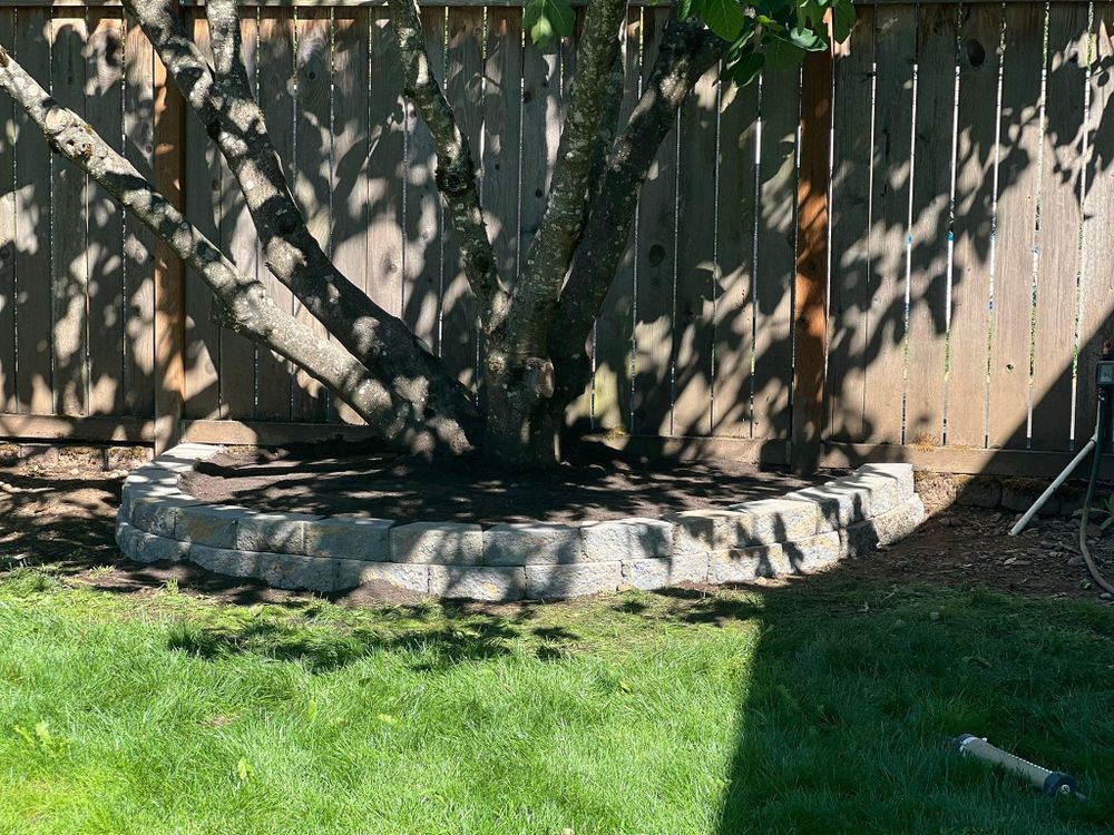 All Photos for T&S Tree Care LLC in Portland, OR
