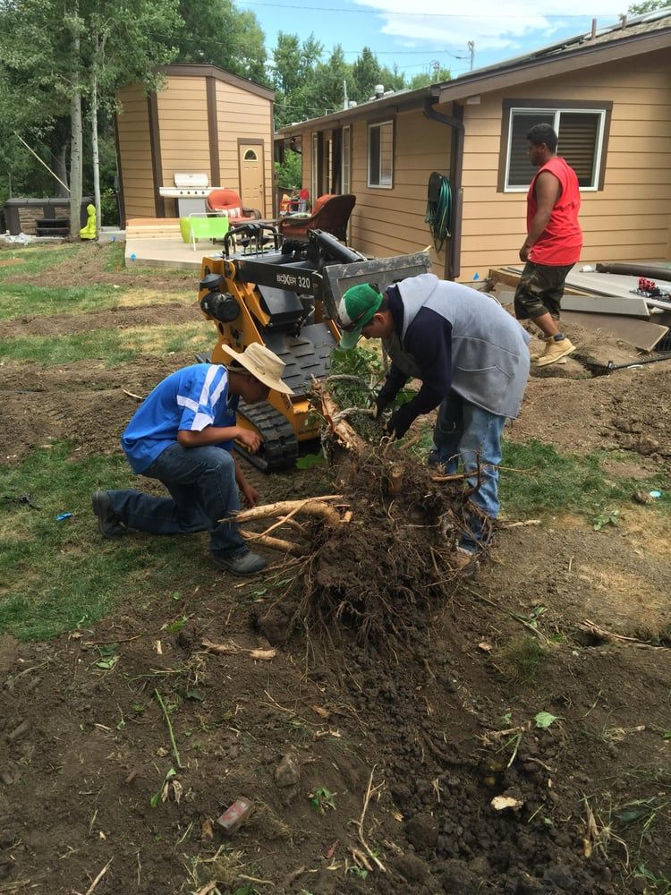 All Photos for Meraki Services in Longmont, CO