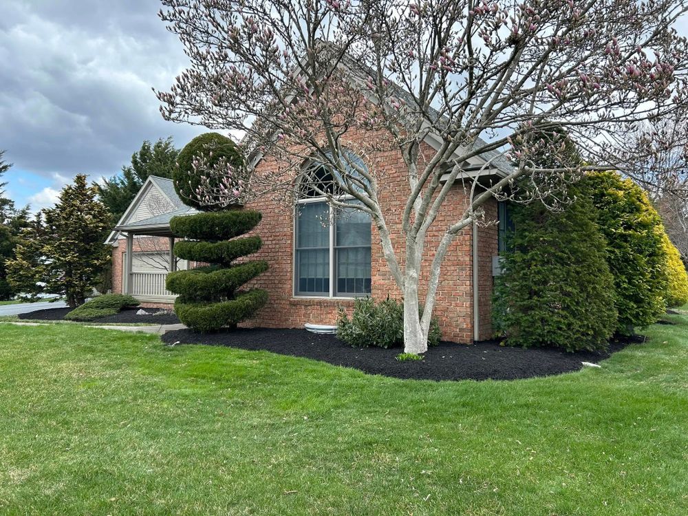 Our Shrub Trimming service enhances your home's curb appeal by expertly shaping and maintaining healthy, vibrant shrubs, ensuring a neat and polished landscape throughout the year to complement your outdoor space. for Eric's Property Service in Conestoga, PA