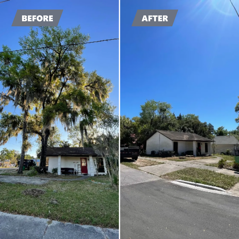 All Photos for Mr. Timber in Ocala, FL