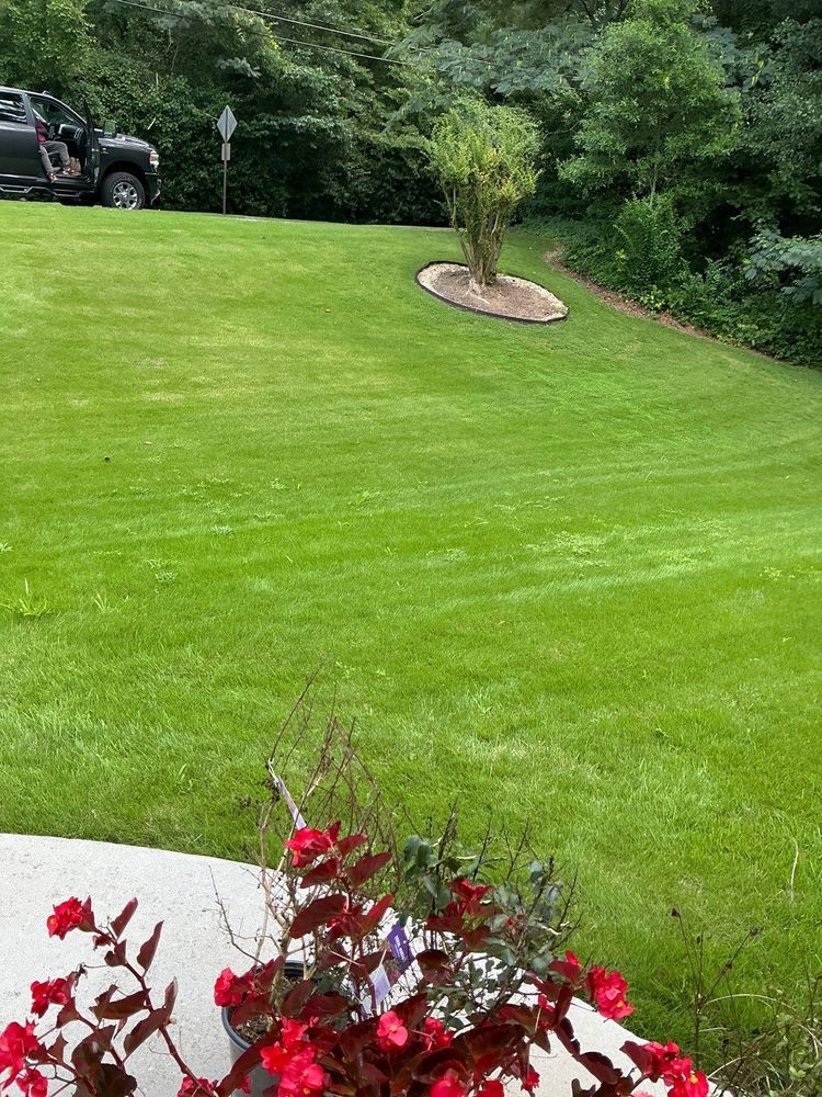 All Photos for New Beginning Landscape & Remodel LLC in Atlanta, GA