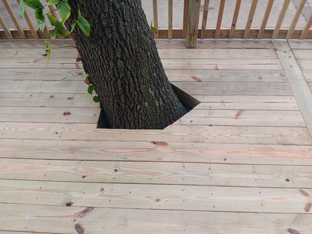 All Photos for K & A Landscaping, Inc. in Jacksonville, FL