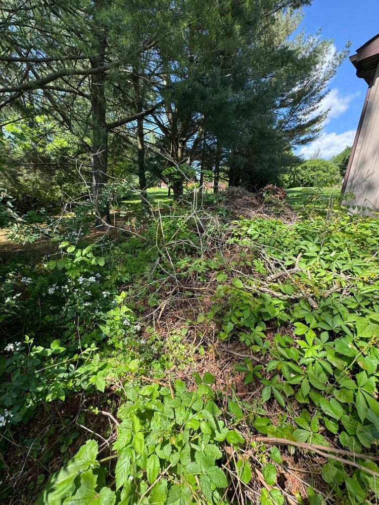 All Photos for Landscape & Lawn Care Pros in Temple, PA