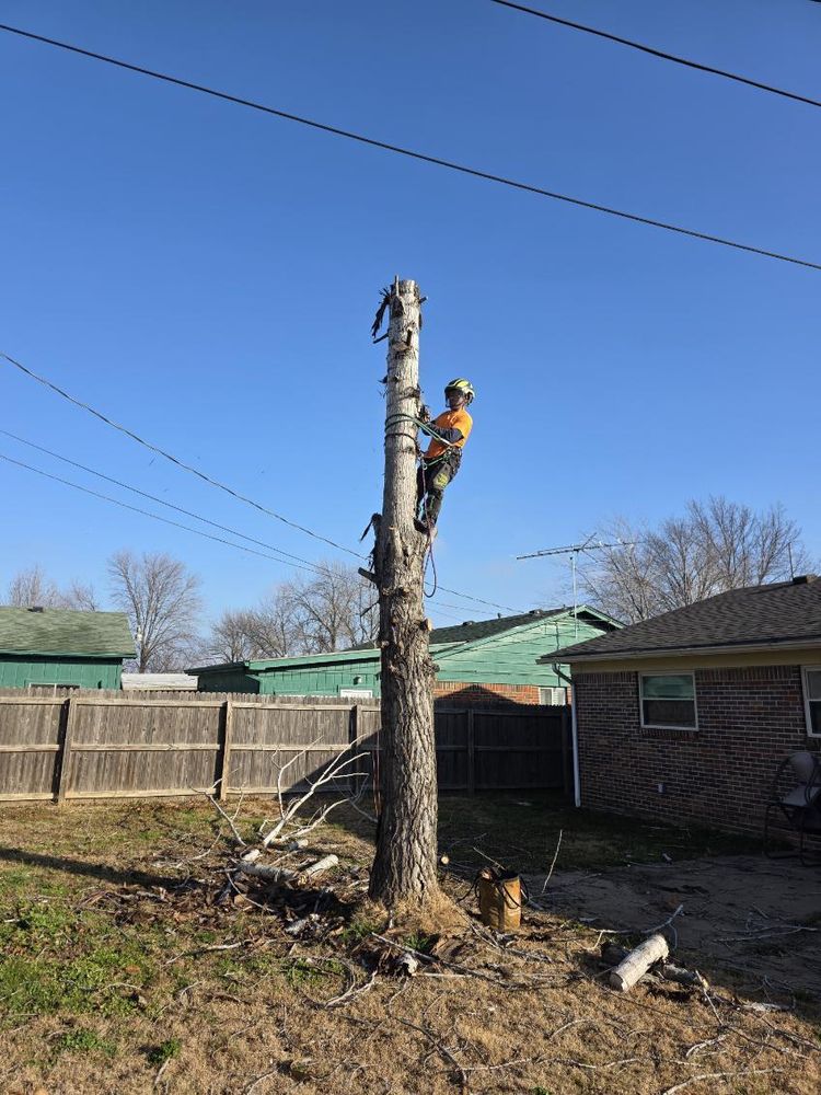 All Photos for Oklahoma Tree Guy in Bartlesville, OK