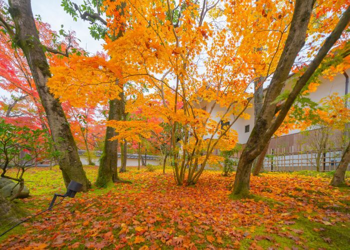 All Photos for HillyGoat Lawn Care in Provo, UT