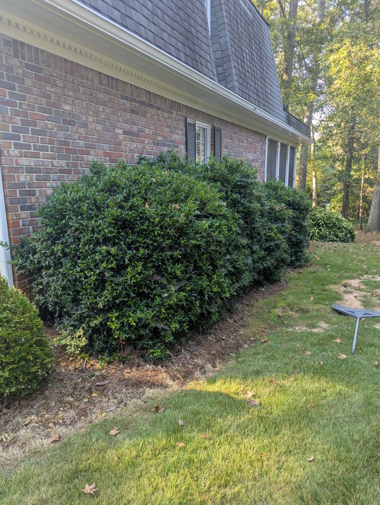 All Photos for Fantastic Lawn Care LLC in Fayetteville, GA