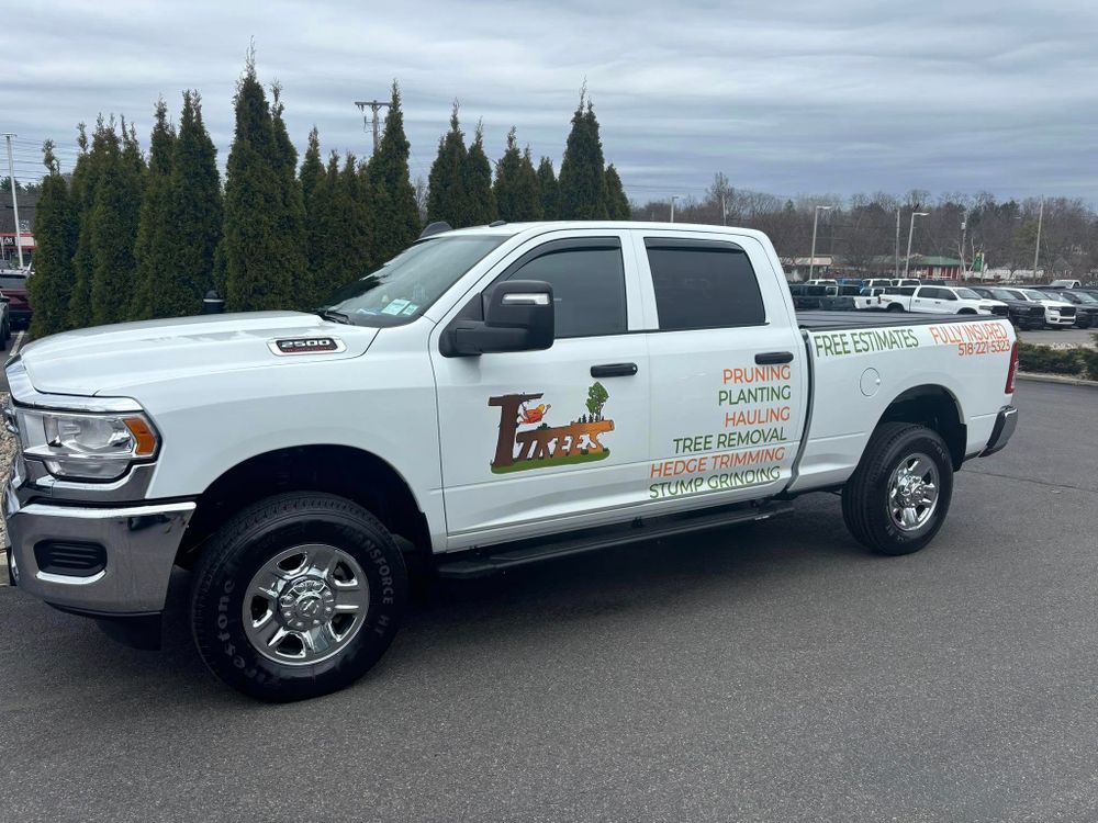 T's Trees team in Albany, NY - people or person