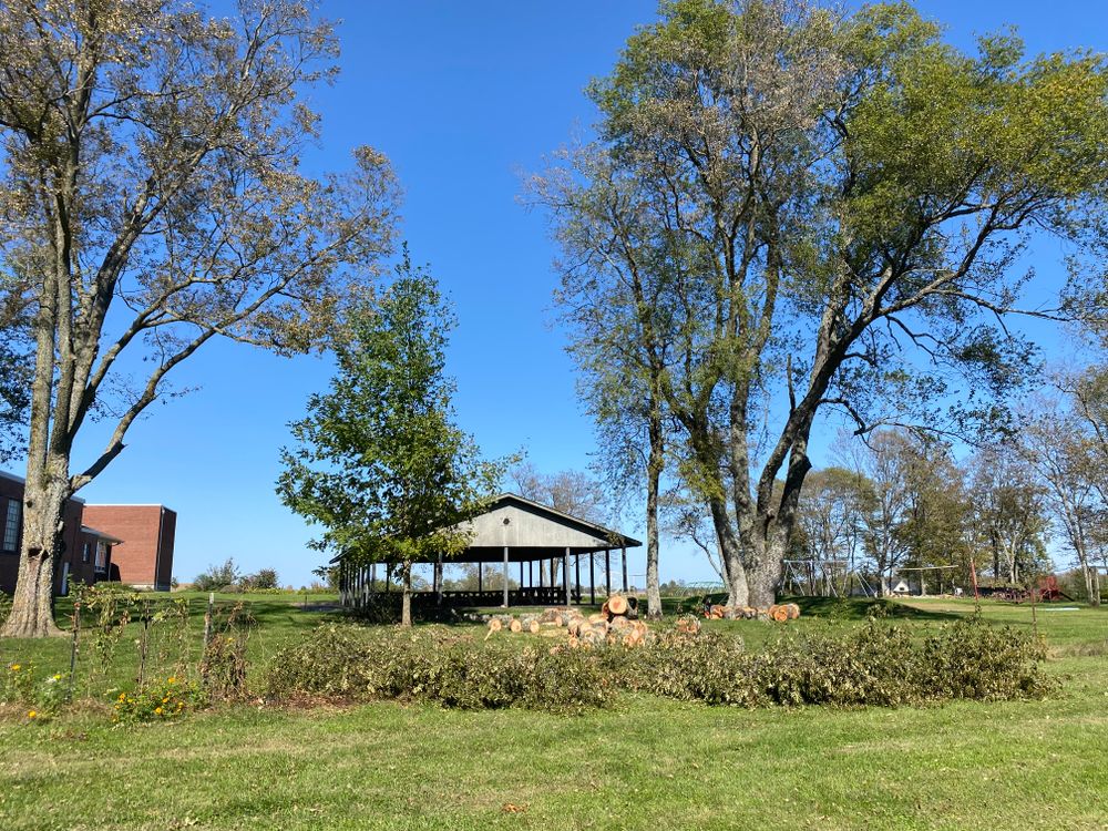 All Photos for Houtz Tree Service in Lexington, KY