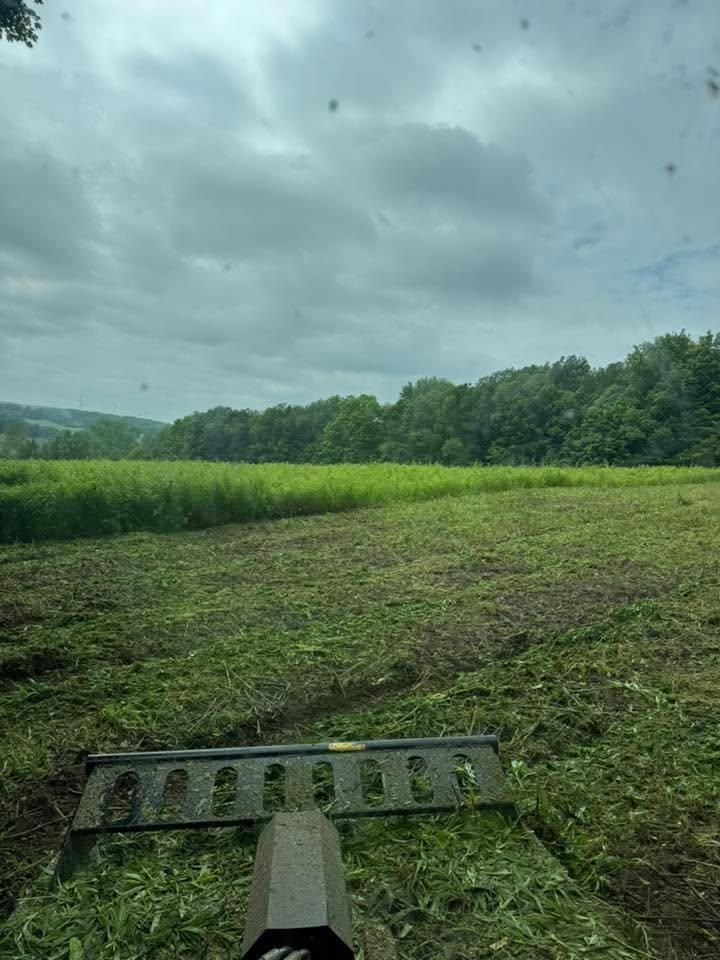 All Photos for Harpers Landscaping in Fredonia, NY