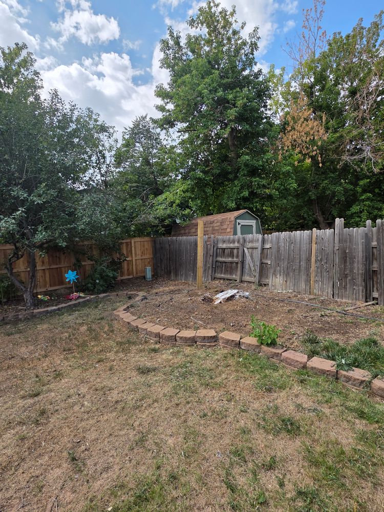 Tree Removal for Family Tree & Landscape LLC in Aurora, CO